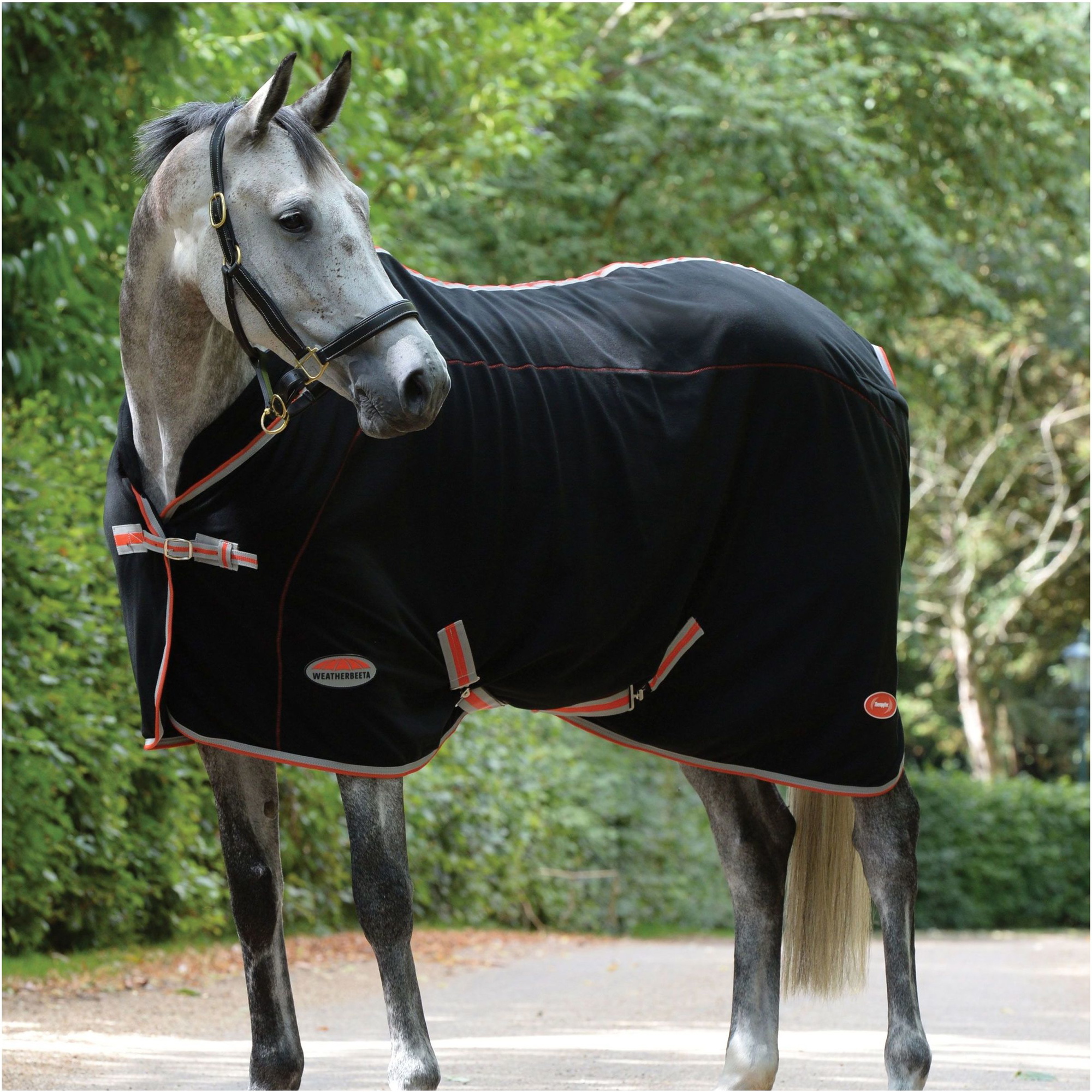 Couverture Polaire De Cou Standard Weatherbeeta Therapy-tec - Noir / Argent / Rouge